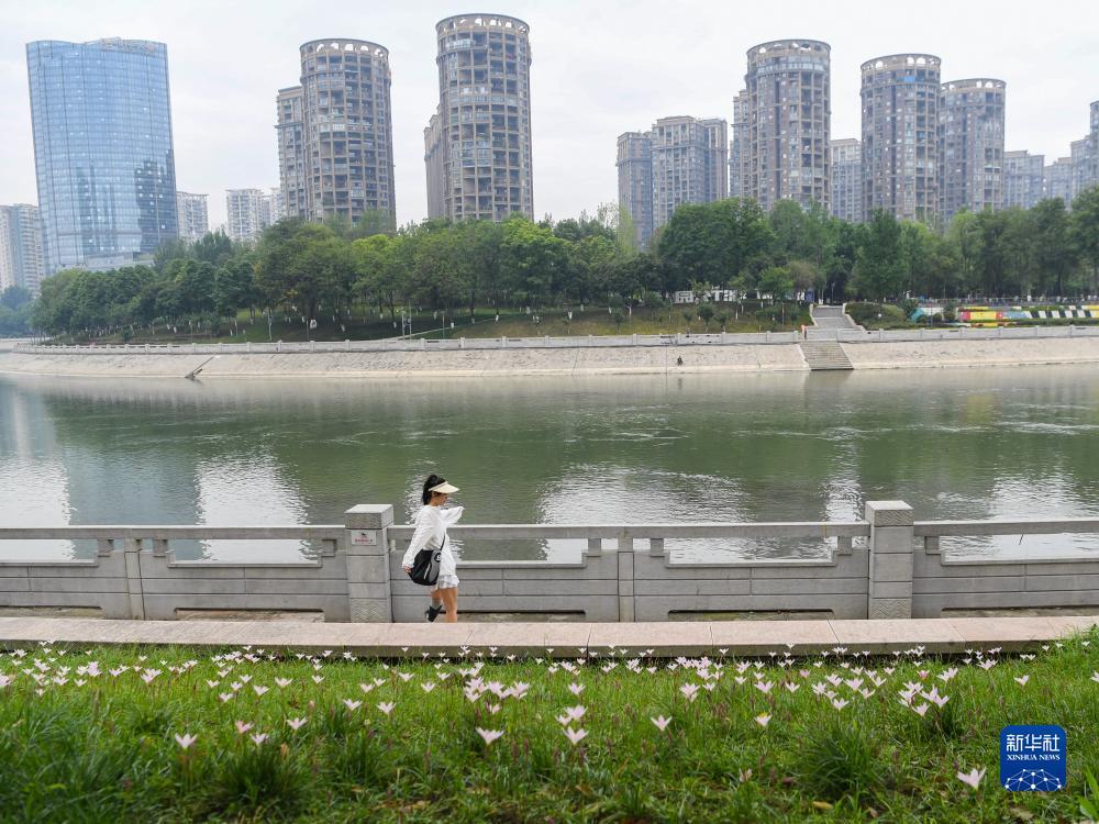 澳门新葡网